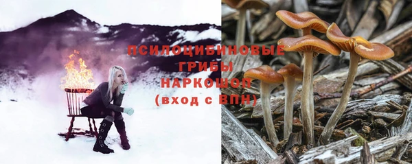 амф Карталы