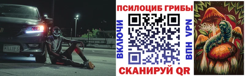 Галлюциногенные грибы Psilocybine cubensis  Купить где  Бабушкин 